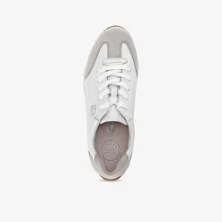 Gabor comfort Damen Sneaker Low-Damen Komfortschuhe | Sneaker